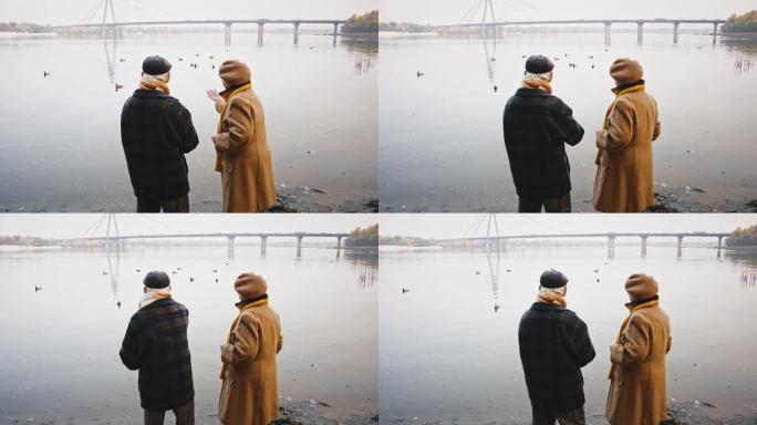 在秋天的公园散步时，一对爱心的老年夫妇站在河岸上，喂漂浮在其中的鸭子