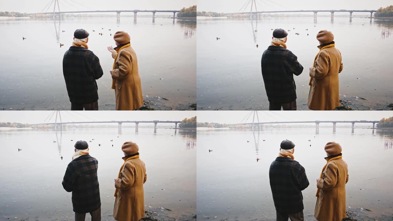在秋天的公园散步时，一对爱心的老年夫妇站在河岸上，喂漂浮在其中的鸭子
