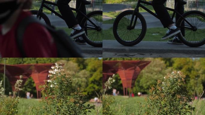 穿着橡胶鞋的人骑着自行车经过花园里的绣线菊丛