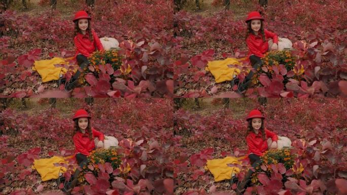 公园里秋天，一个红发小女孩坐在红叶上。