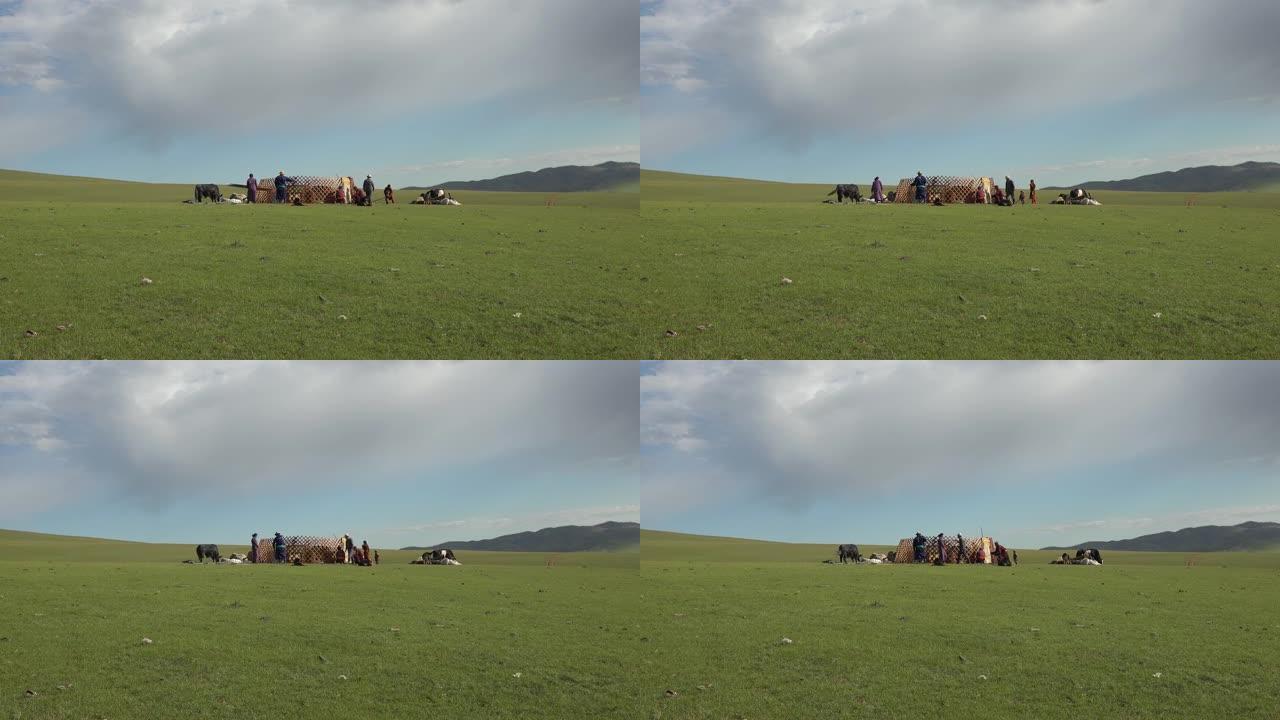 一个家庭在蒙古的草地上搭建蒙古包帐篷