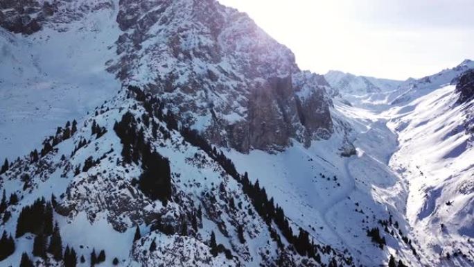 高雪山，云杉生长在地方