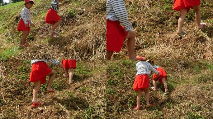 两个快乐的兄弟姐妹在温暖的晴天走在山坡上的草坪上。一家人一起度假。