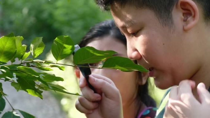 亚洲儿童在户外探险期间使用放大镜进入森林自然保护区。