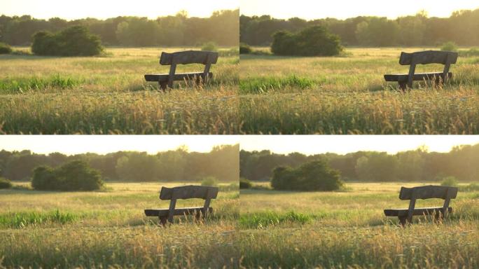 风景自然空座木凳落日背景下绿色植物变化金色自然光色美丽草麦草草甸草原田野夏日阳光晴朗