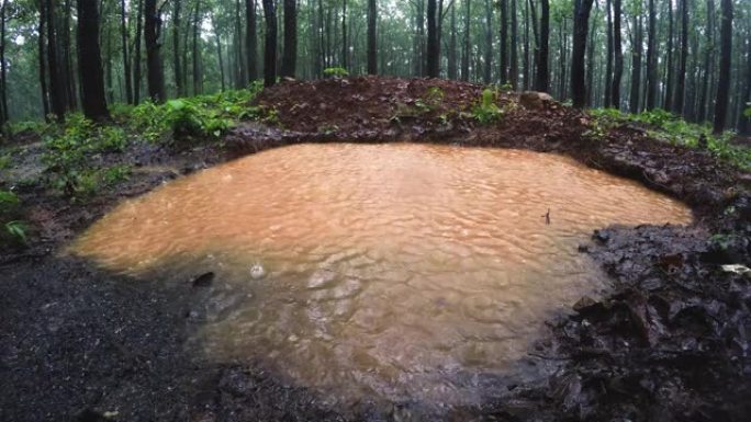 通过喜马拉雅地区丘陵地区的池塘收集雨水