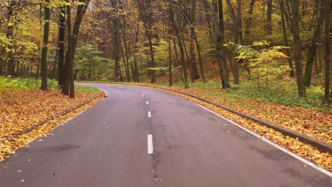 秋季下午，无人机在弯曲的森林柏油路上平稳飞行，带分隔带