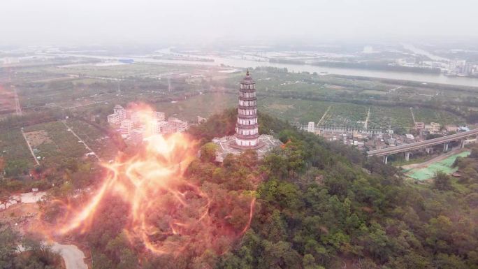 陈皮传说，凤凰在茶坑凌云塔飞过