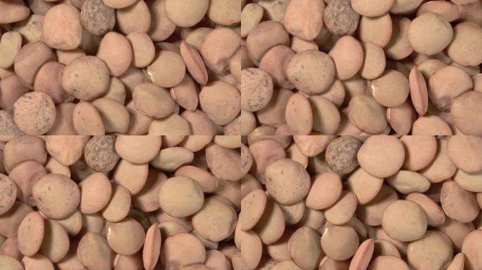 扁豆的特写旋转。宏图像。4k视频。有机豆类。