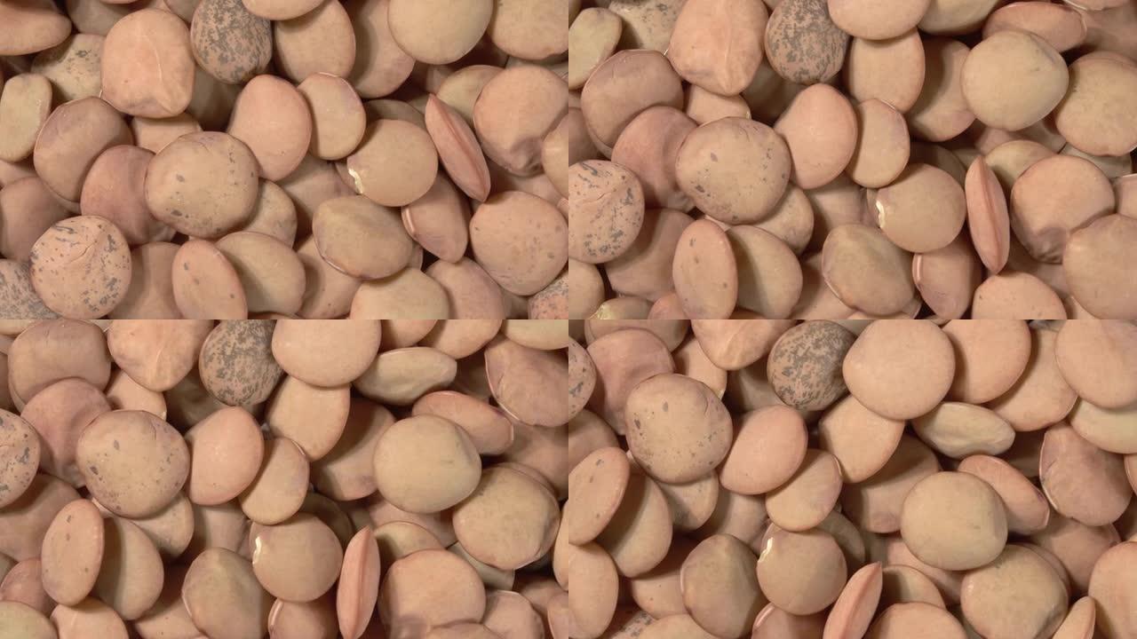 扁豆的特写旋转。宏图像。4k视频。有机豆类。