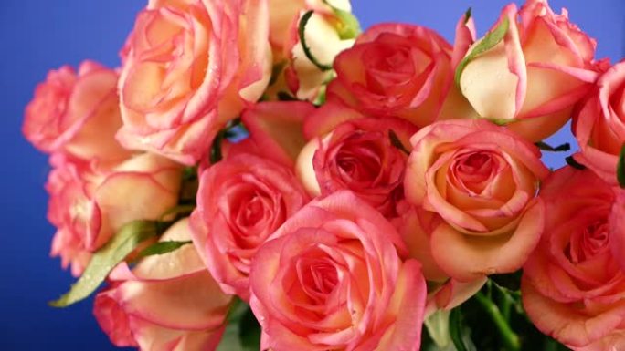 飞溅的水落在新鲜的粉红玫瑰花束上的特写镜头。夏天的雨和花。花卉护理，浇水。花店。选择性聚焦，浅景深