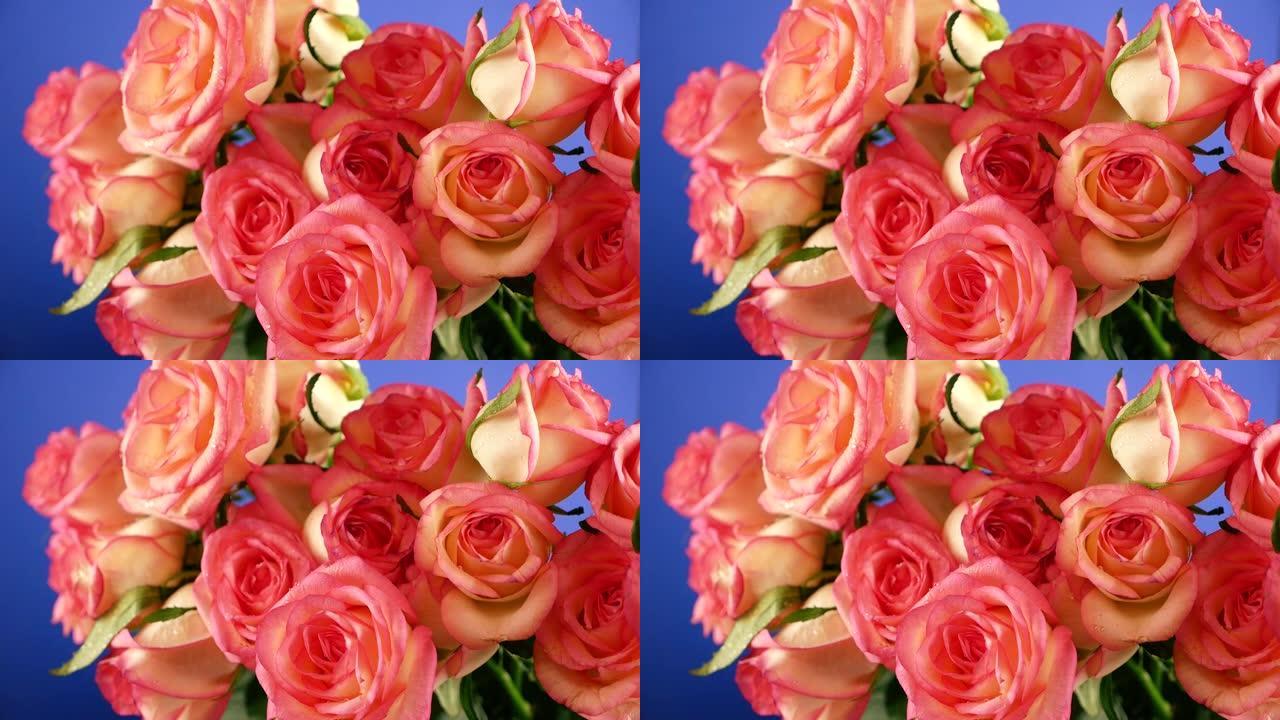 飞溅的水落在新鲜的粉红玫瑰花束上的特写镜头。夏天的雨和花。花卉护理，浇水。花店。选择性聚焦，浅景深