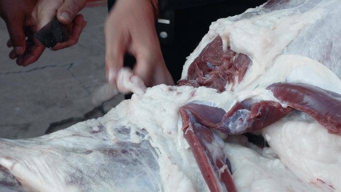 炖羊肉 剔骨 剔肉 山羊肉 北方特产