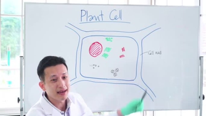 亚洲中级科学家使用光学显微镜在生物实验室中研究有关微小植物细胞的科学实验，并在生物学课上教授细胞。研