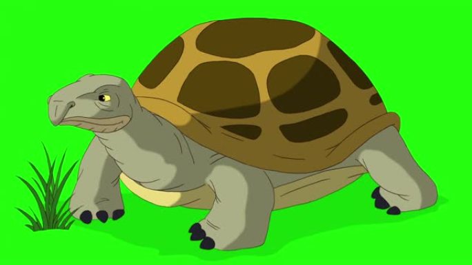 大黄象龟吃草色度键