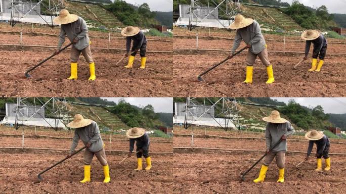 亚洲男性农民使用花园锄头在山上挖土