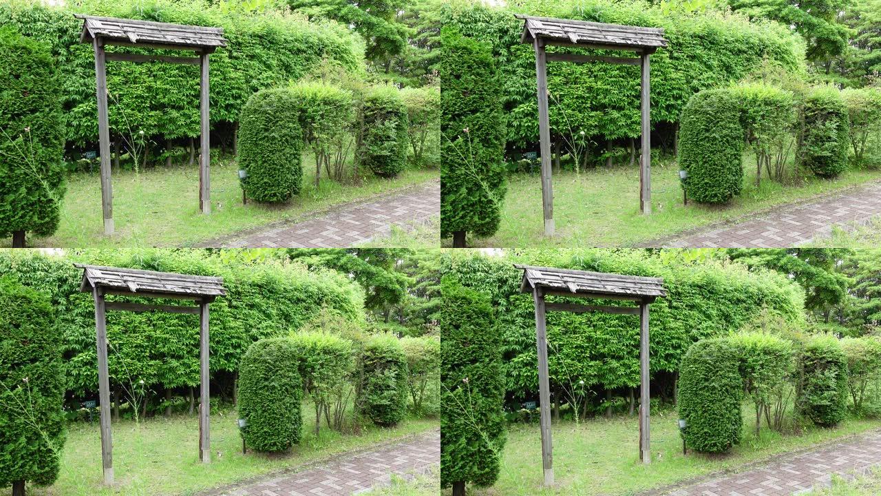 日本东京的木叶公园，绿园