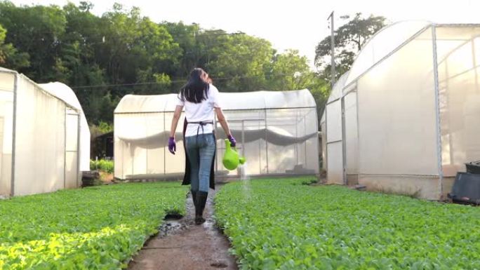 亚洲妇女在农田里给蔬菜浇水