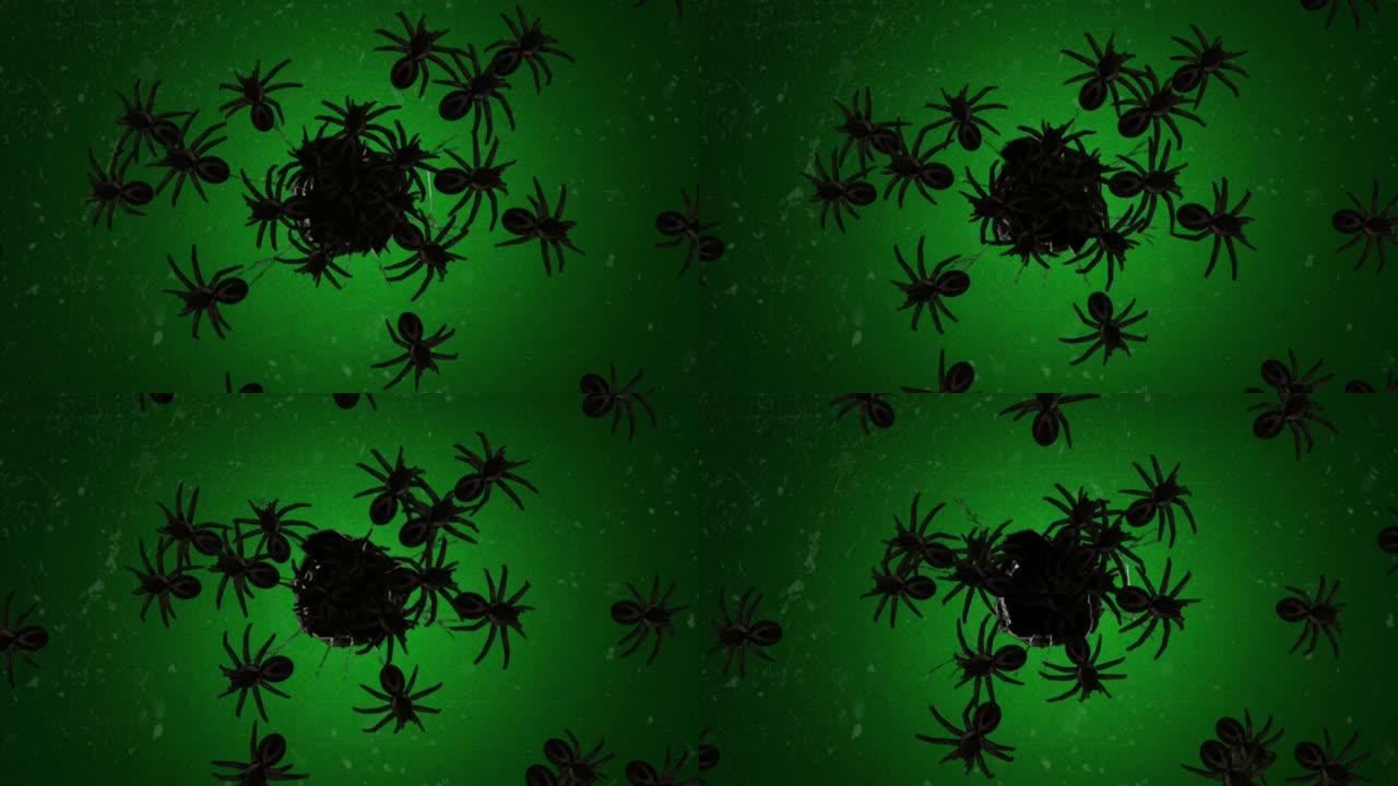 绿屏背景的幽灵蜘蛛运动图形