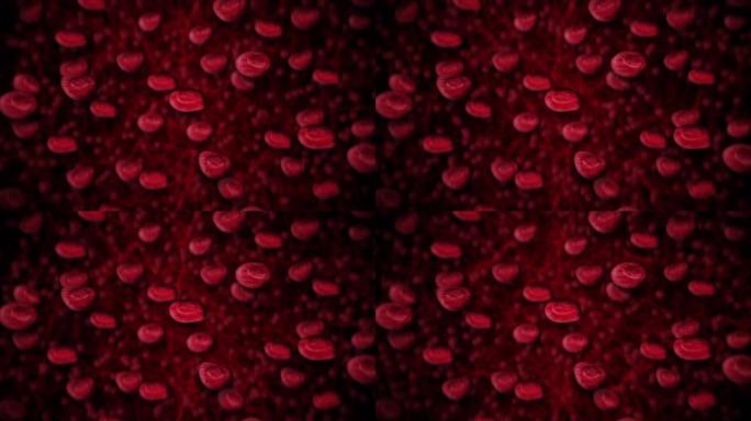 红细胞漂浮在血液中并在血管中循环。医学概念。3D渲染静脉和动脉。医疗保健。循环动画。