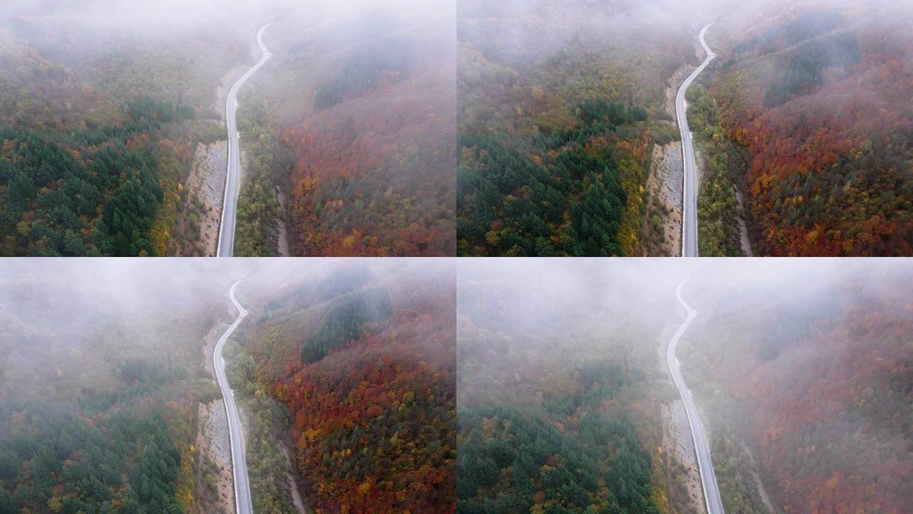 秋季天线。空中公路旅行在雾中蜿蜒的山路上，汽车在秋天经过五颜六色的森林。平移镜头。