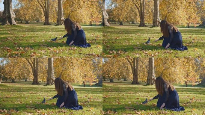 在4k的金秋期间，一个穿着裙子的美丽女孩在公园里喂鸽子。