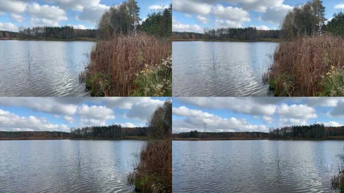 波兰鱼塘的秋季景观。缤纷的秋假和阳光明媚的日子