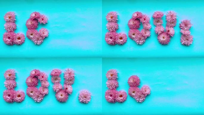 定格动画粉红色菊花花的爱情一词出现，然后在精致的蓝色背景上消失。