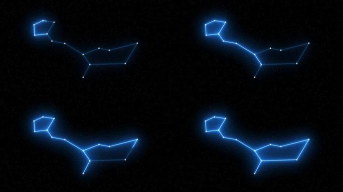 鲸鱼座-带有星域空间背景的动画十二生肖星座和星座符号