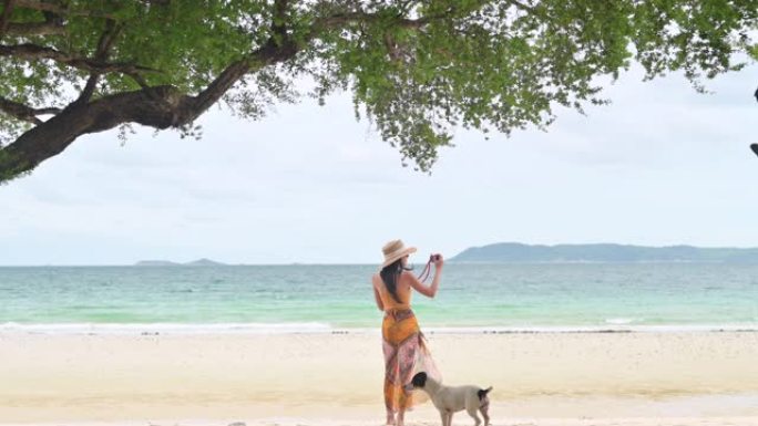 夏天的海上旅行