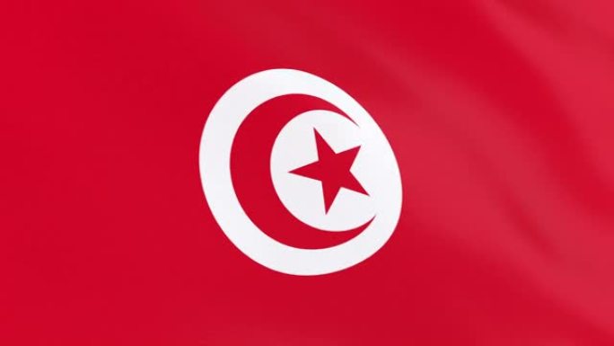突尼斯的旗帜环