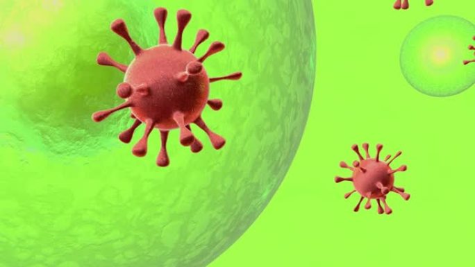 病毒感染细胞过程的3D动画。病毒攻击人/动物细胞的特写过程。