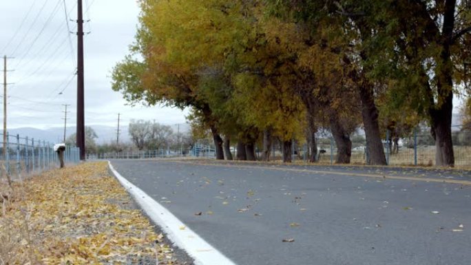 沿着秋天彩树的乡村道路