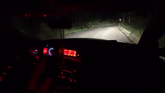 夜间驾车穿越森林。