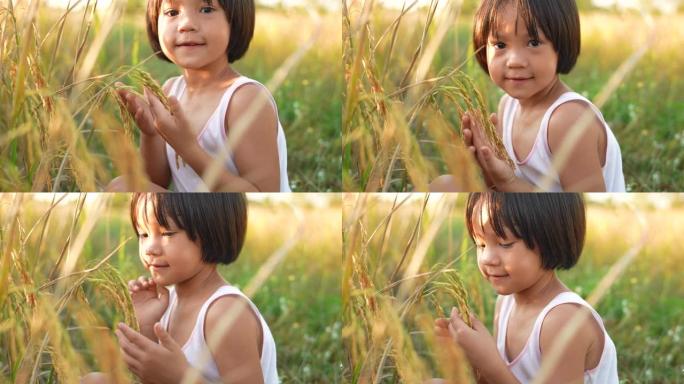 慢动作，小女孩在田里摸着稻穗一粒米。