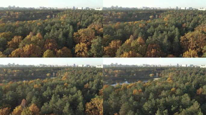 秋天。秋天的黄色公园。鸟瞰图。