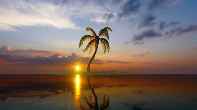 日落时小岛上的单棕榈树