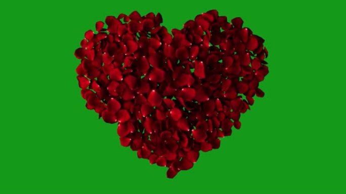 玫瑰花瓣心脏运动图形与绿色屏幕背景
