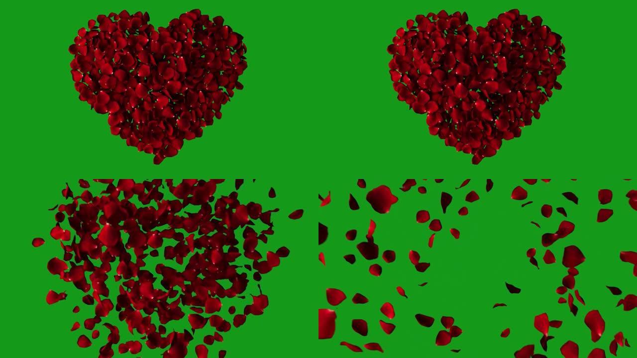 玫瑰花瓣心脏运动图形与绿色屏幕背景