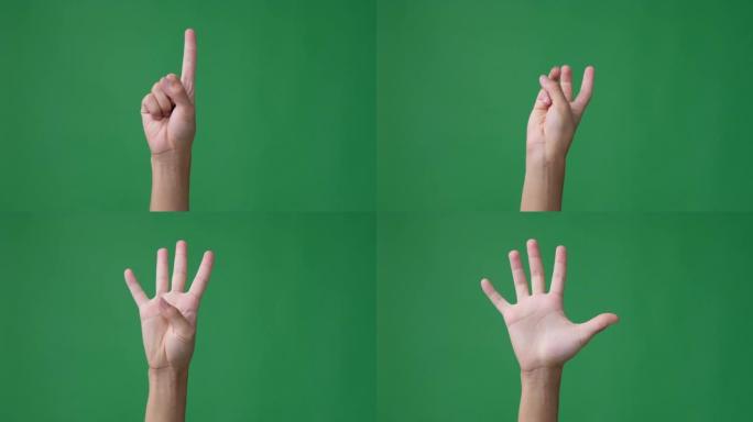 用手指从一数到五的手