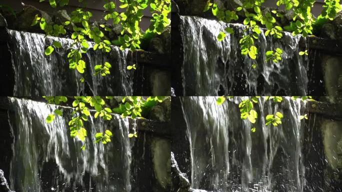 鸟园绿叶人工瀑布，带阳光。
