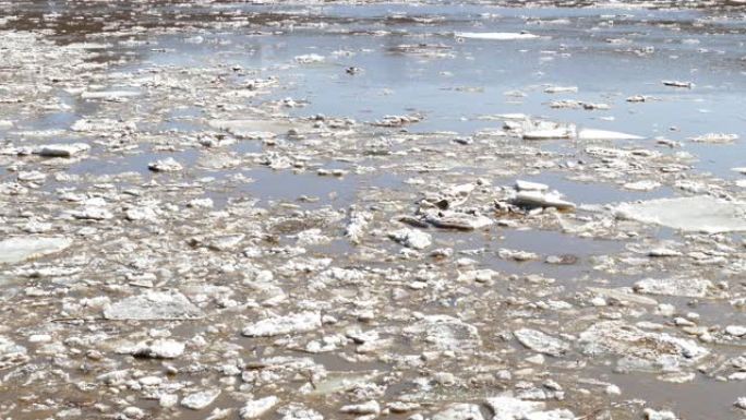 春季在河上漂浮的碎冰
