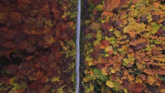 秋季天线。秋天，空中公路穿越蜿蜒的山路，汽车驶过五颜六色的森林。