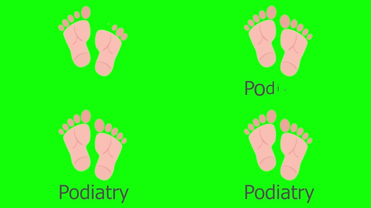 足部足病医学概念。人体足部解剖。