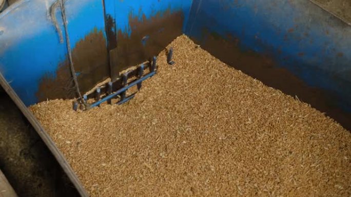 小麦谷物进入面粉厂的机器