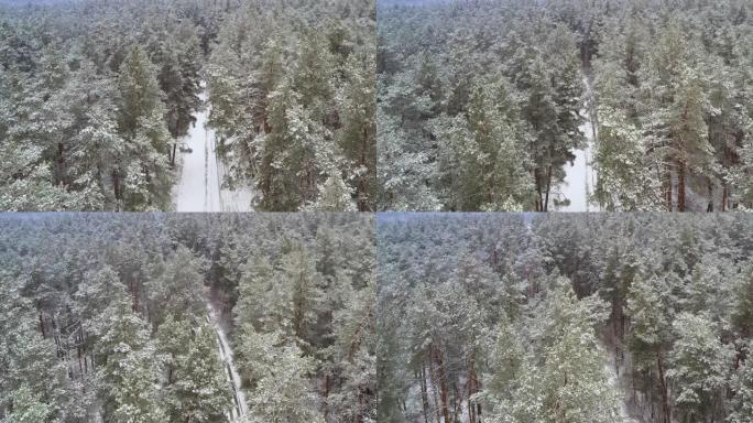 倾斜显示在下雪的天气中，冬季松雪森林与道路的无人机拍摄