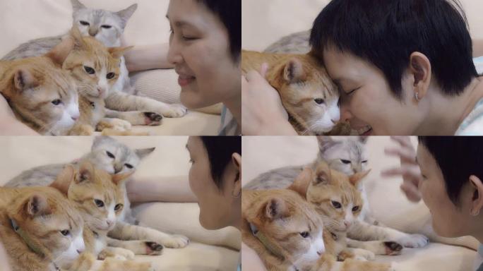 宠物主人成熟的女人和她的猫