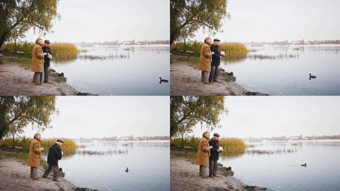 充满爱心的老年夫妇微笑着，站在河边，在秋天的日子里喂漂浮在其中的鸭子