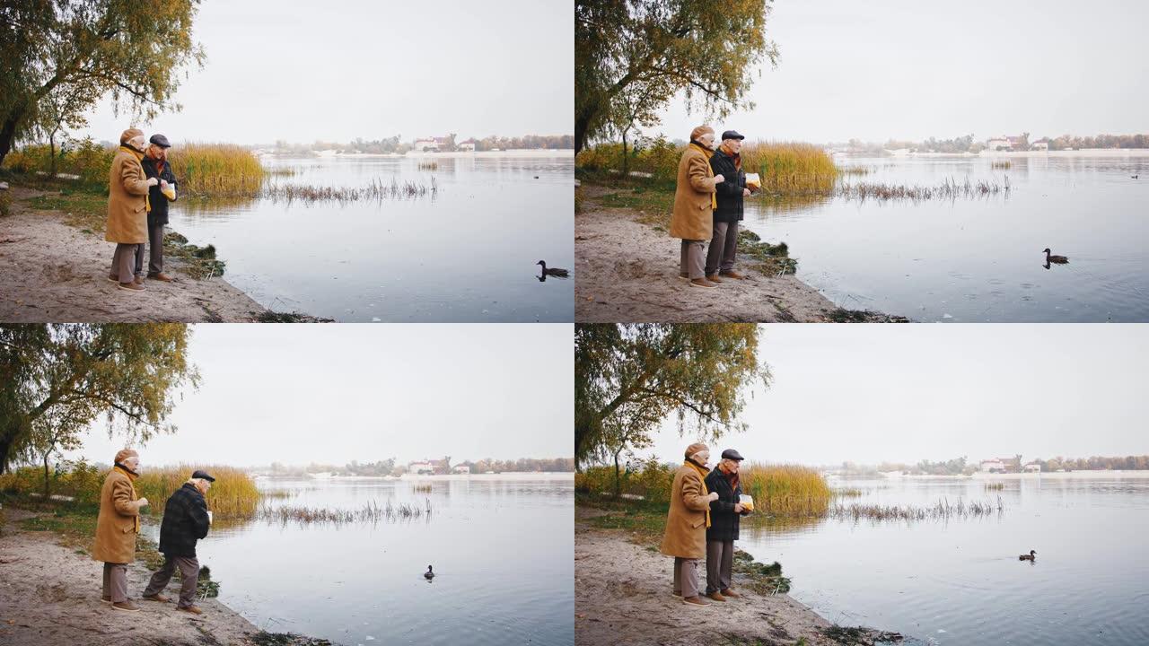 充满爱心的老年夫妇微笑着，站在河边，在秋天的日子里喂漂浮在其中的鸭子