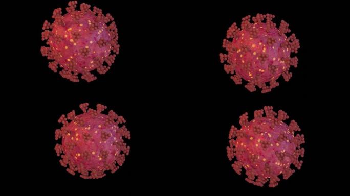 冠状病毒3D病毒
